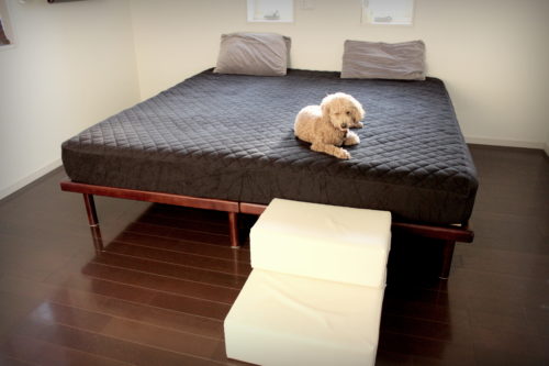 100均の商品で作れちゃう！小型犬におすすめ「あご乗せ付きソファ」をDIY